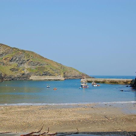 Dolphin Lodge Port Isaac Extérieur photo